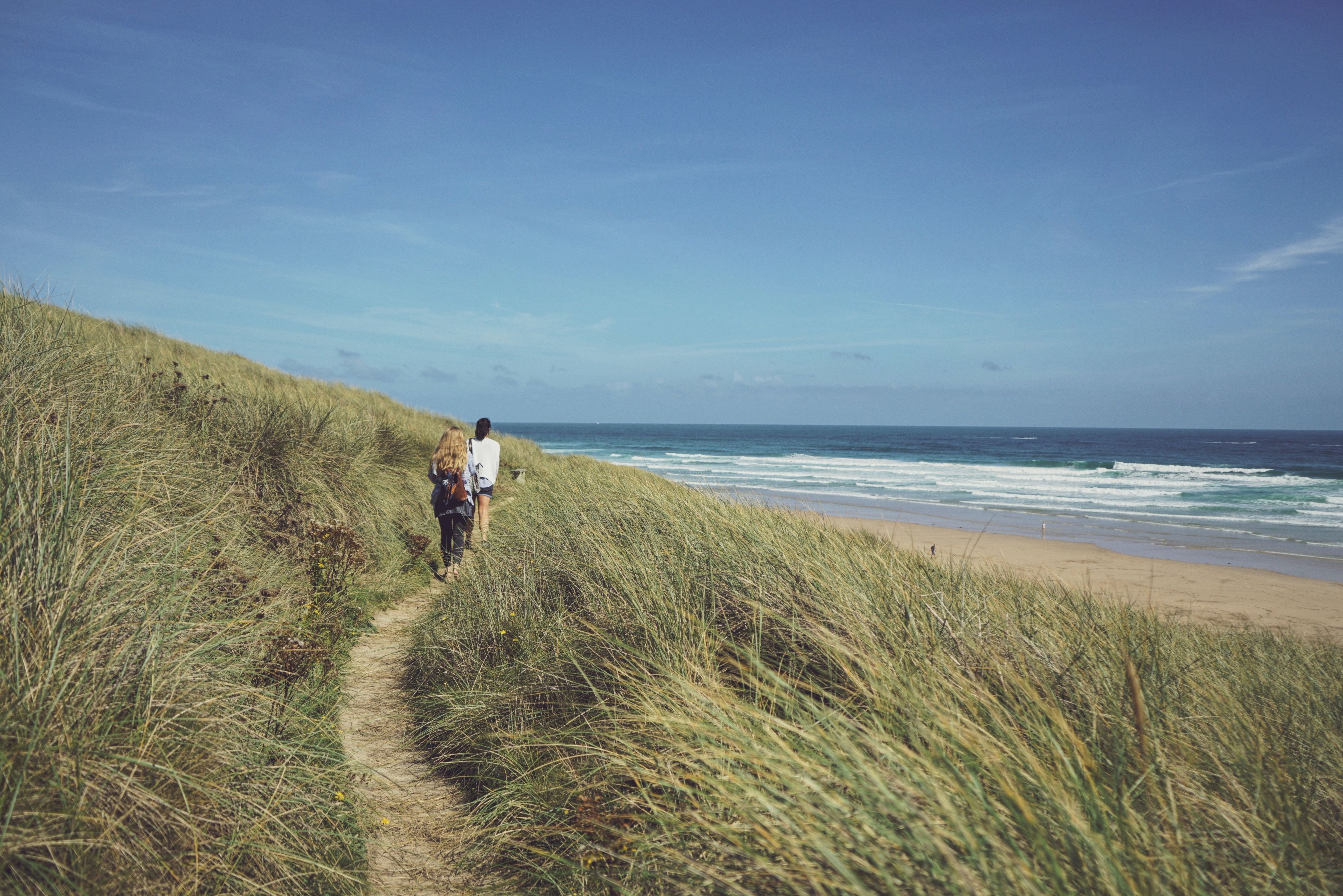 Two people walking amongst seagrass by the sea