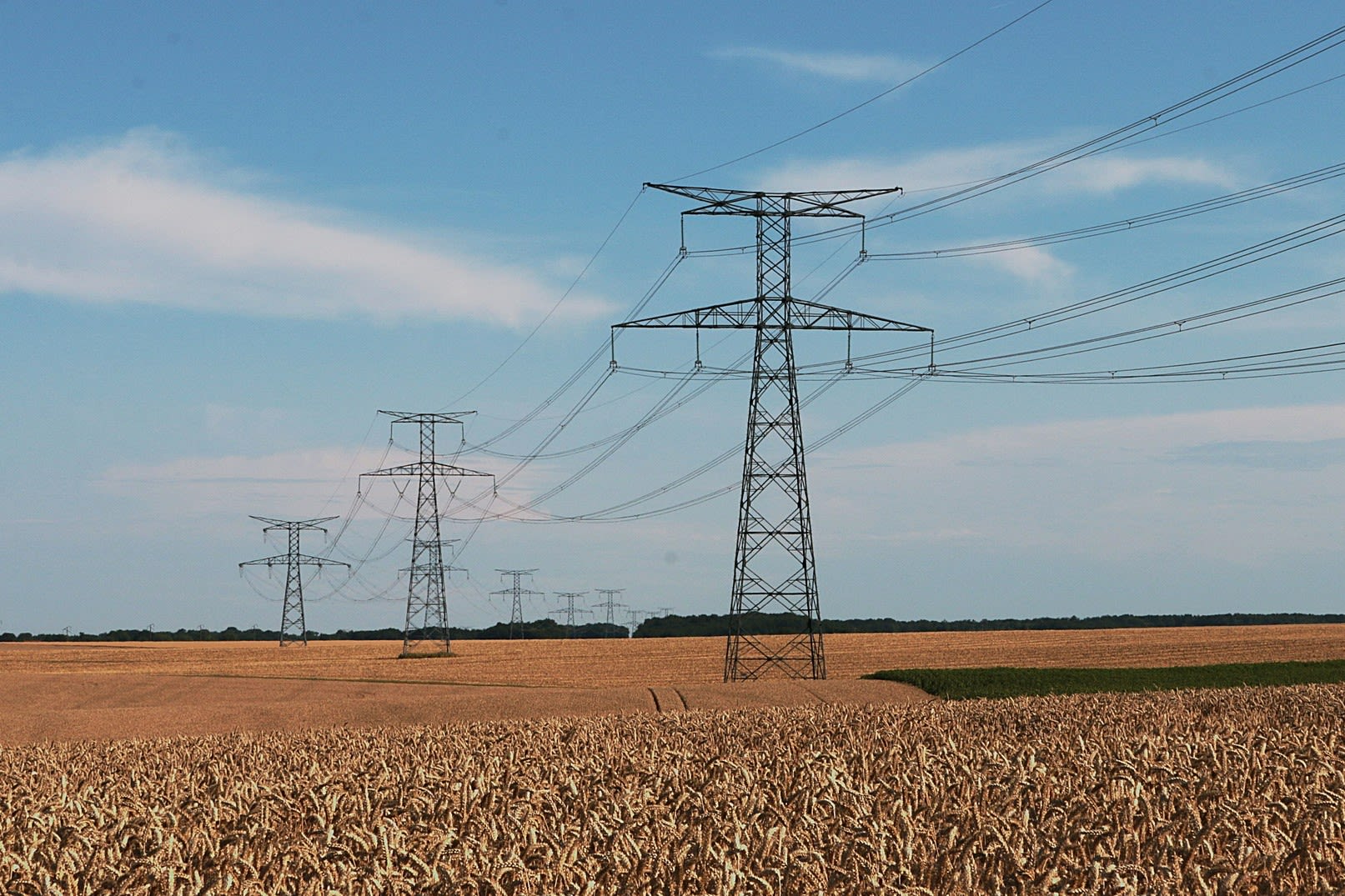 Photograph of three pylons in a field