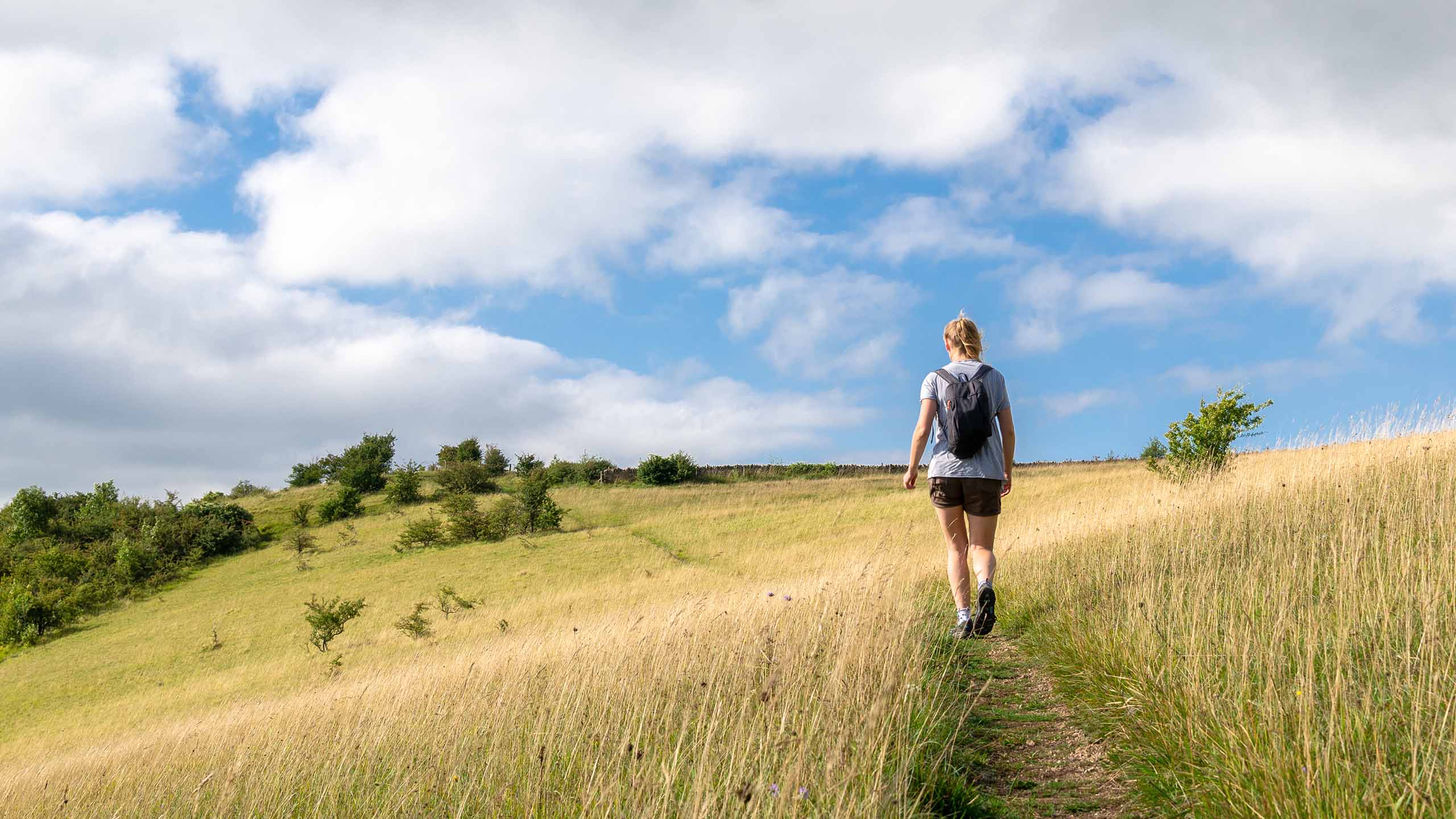 Woman walking through a field in summer, blue skies