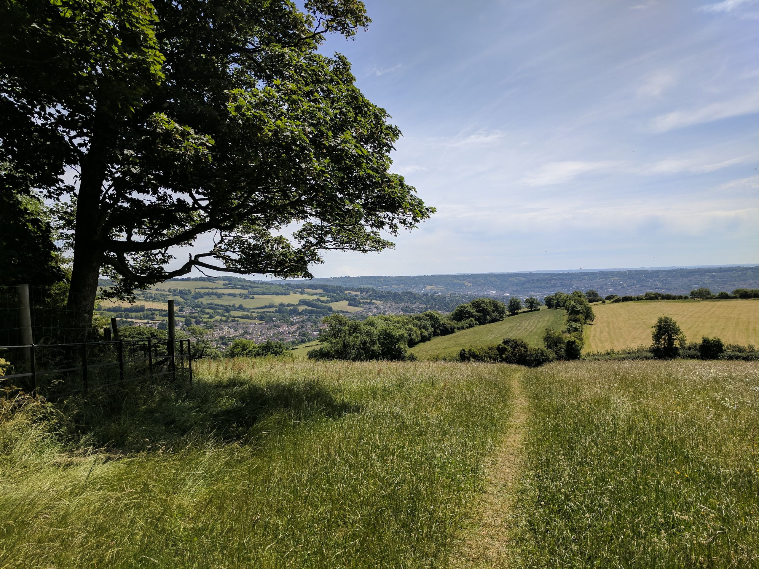 decorative image of countryside