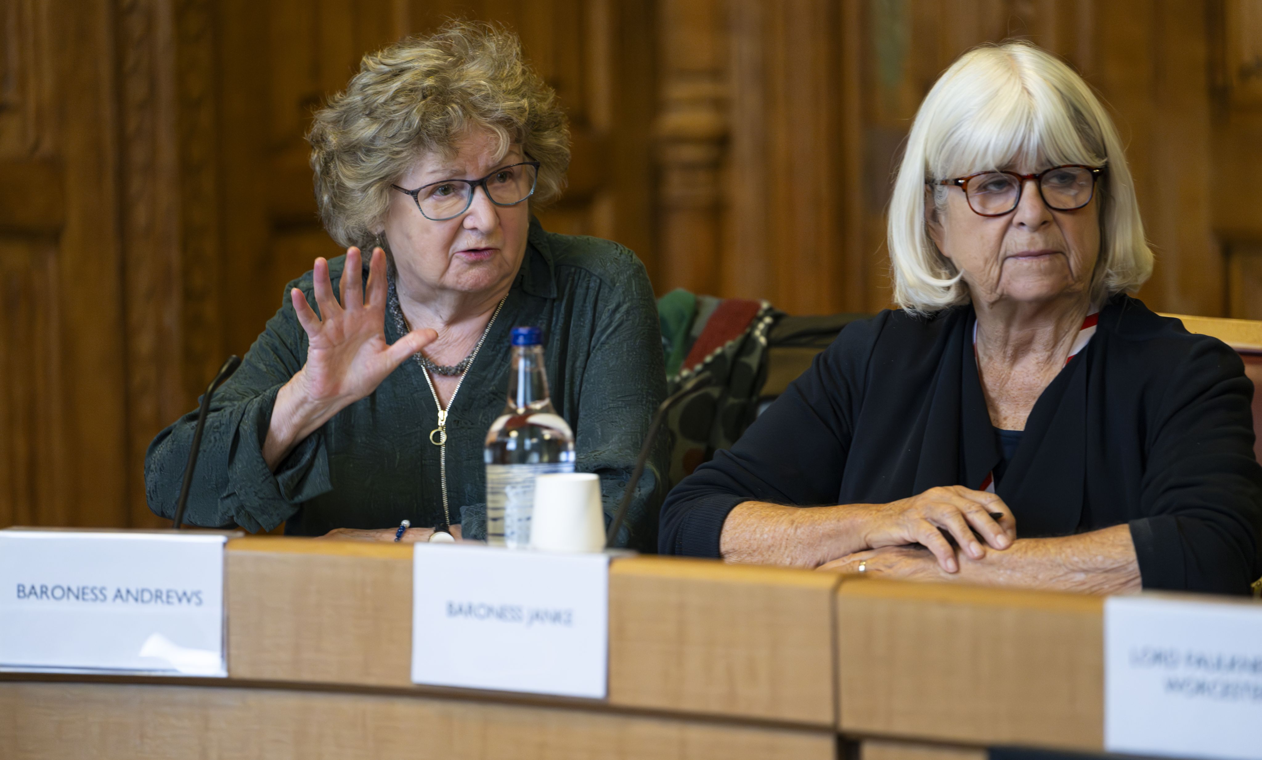 Baroness Andrews
