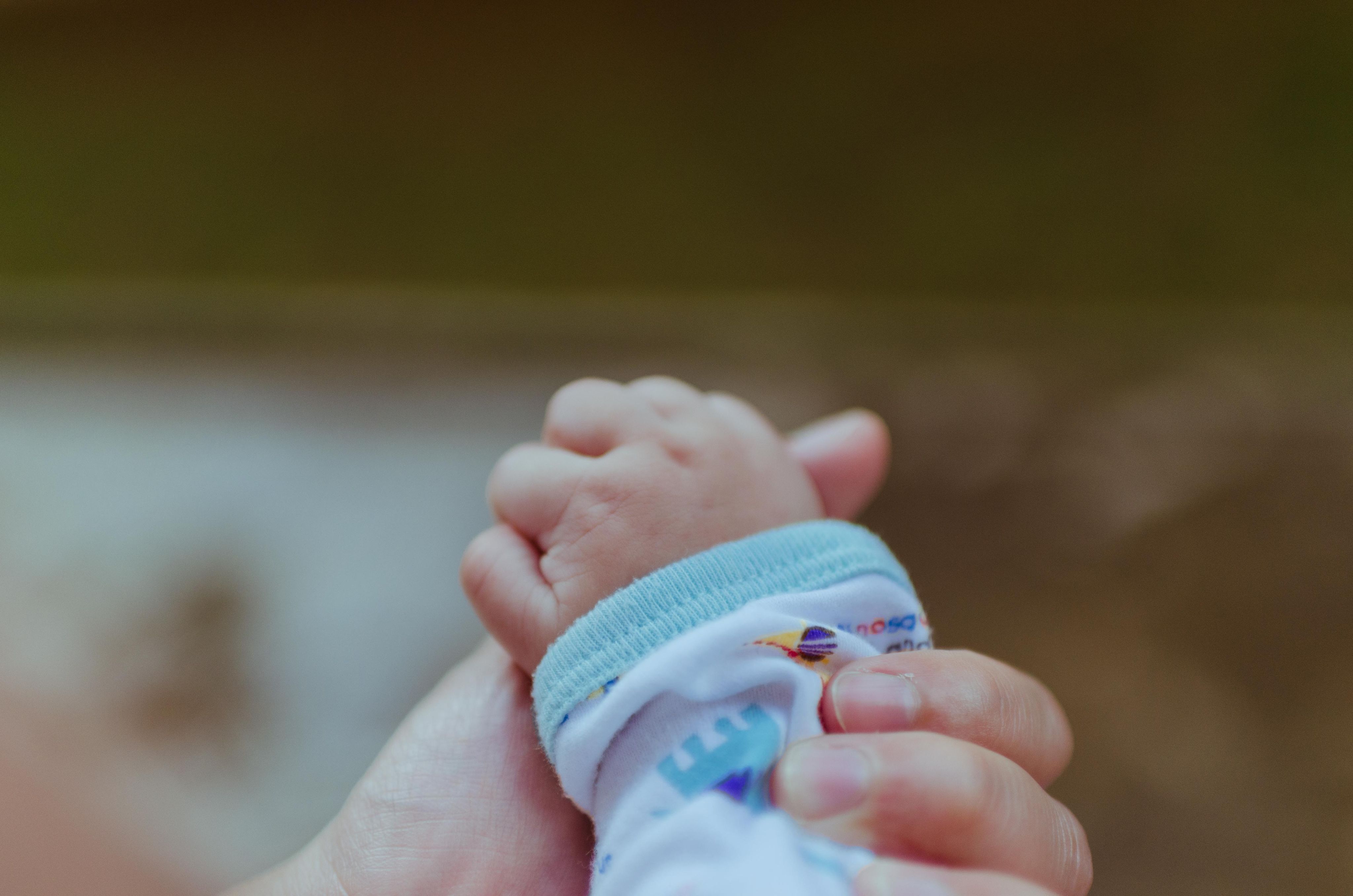 Parent holding baby's hand