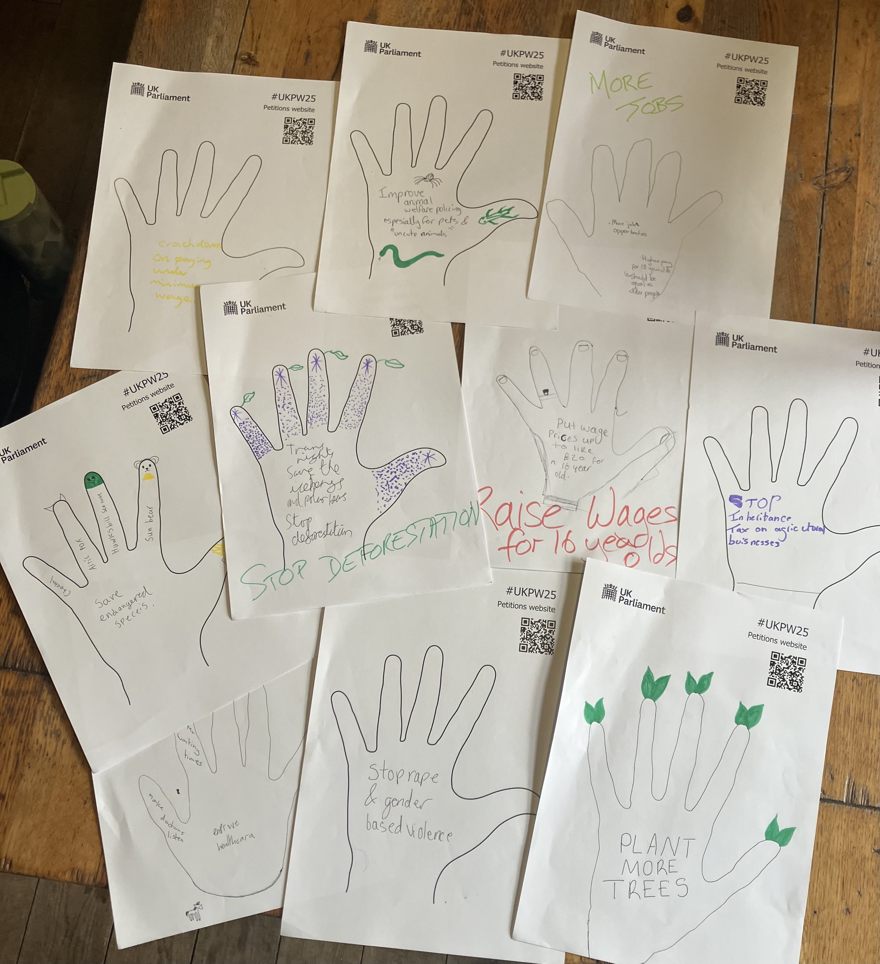 Output from the Hands On Petitions activity 