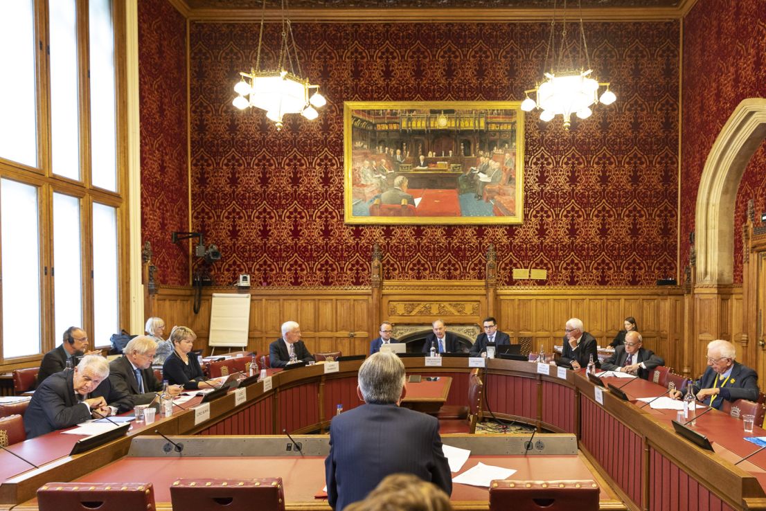 Review of House of Lords investigative and scrutiny committee activity ...