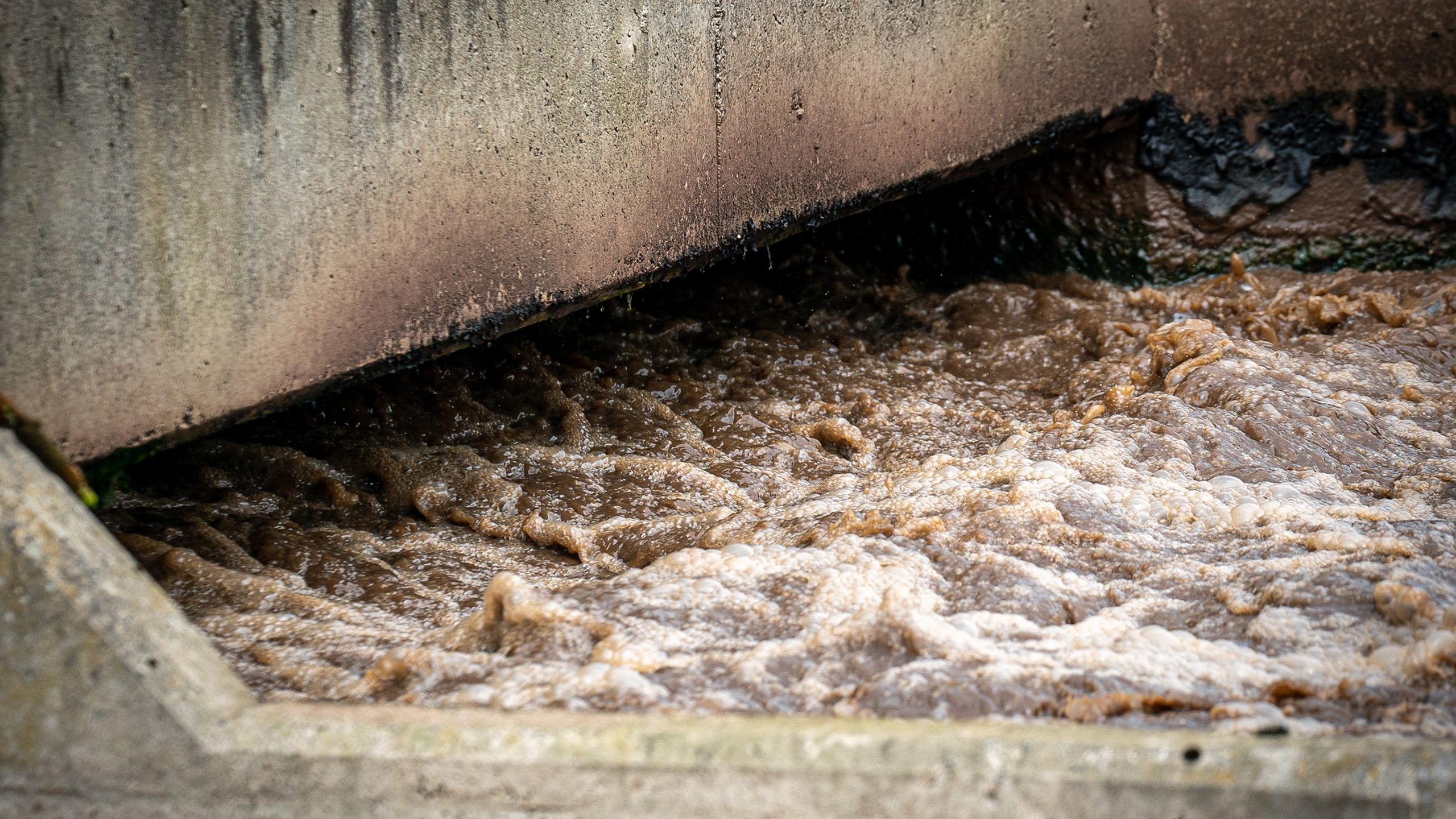 Our rivers are in danger